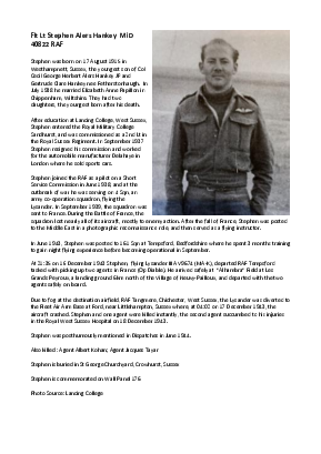 A preview of a PDF biography for Hankey, Stephen Alers